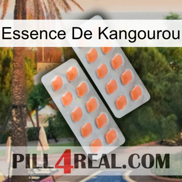 Kangaroo Essence 27